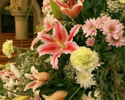 Flowers in St. Barnabas Flowers in St. Barnabas